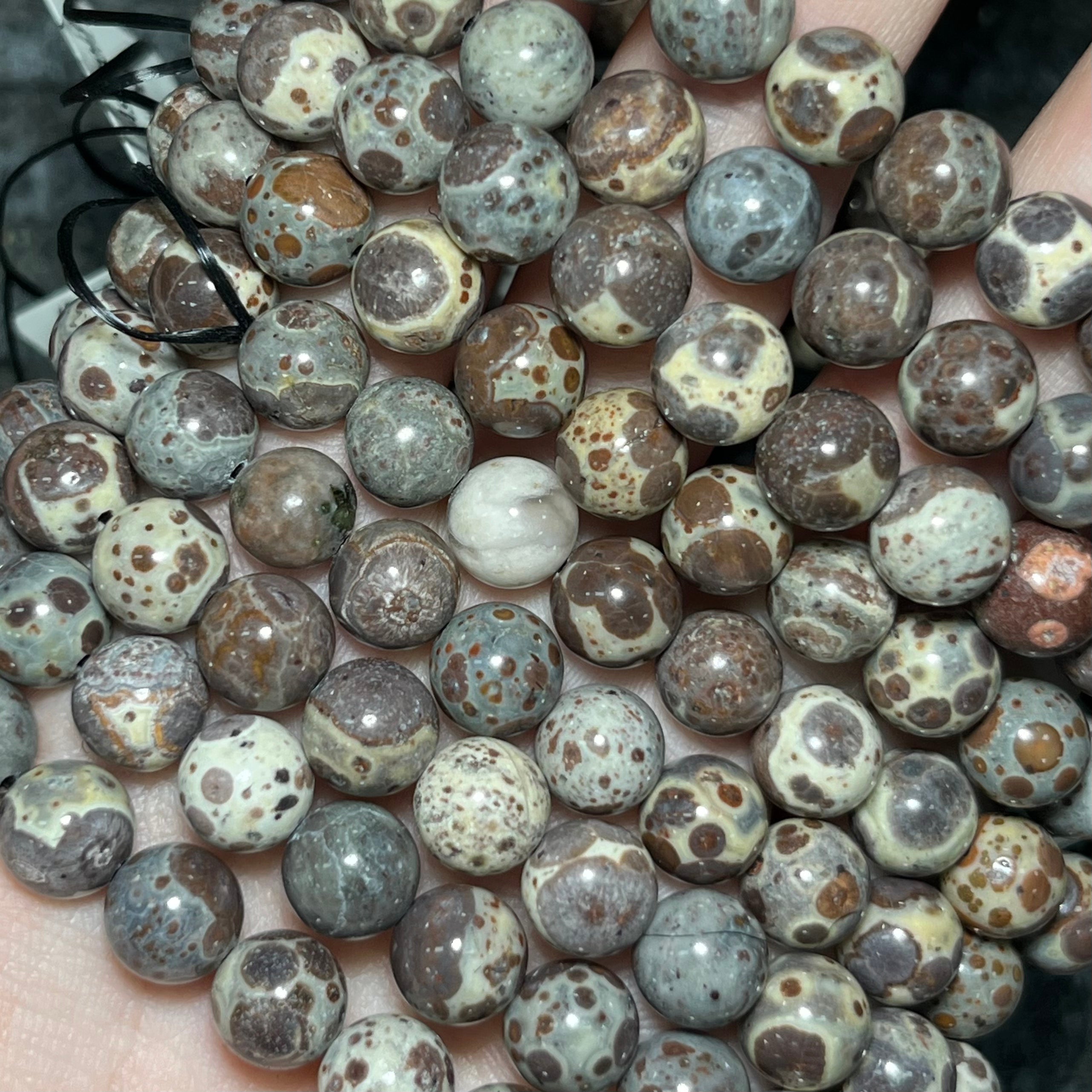 Asteroid Jasper