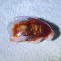 Fire Agate hand-carving display
